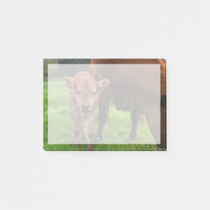 Niedliche Kleintiere Kuh und Kalb Post-it Klebezettel