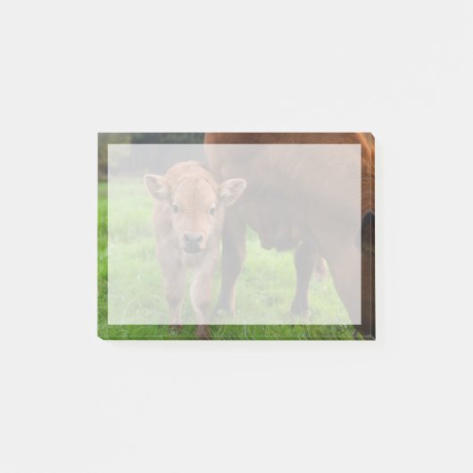 Niedliche Kleintiere | Kuh und Kalb Post-it Klebezettel (Vorderseite)