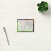 Niedliche Kleintiere | Kuh und Kalb Post-it Klebezettel (Büro)