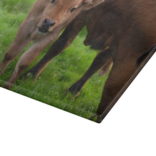 Niedliche Kleintiere | Kuh und Kalb Schneidebrett (Ecke)