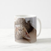 Niedliche Kleintiere | Kurzhaar Tabby Kitten Kaffeetasse (VorderseiteRechts)