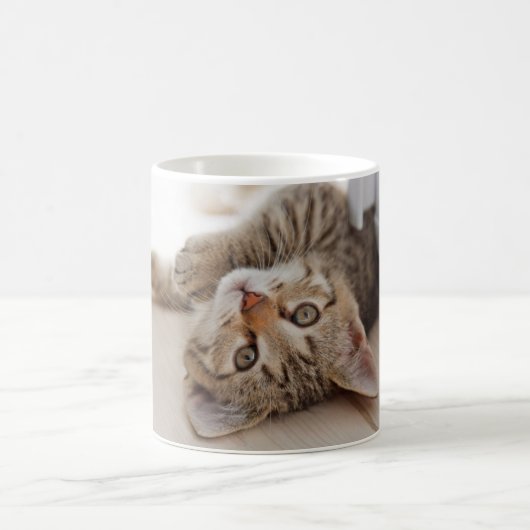 Niedliche Kleintiere | Kurzhaar Tabby Kitten Kaffeetasse (Mittel)