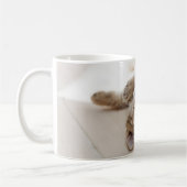 Niedliche Kleintiere | Kurzhaar Tabby Kitten Kaffeetasse (Links)