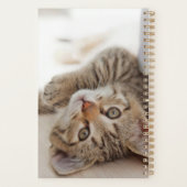 Niedliche Kleintiere | Kurzhaar Tabby Kitten Planer (Rückseite)