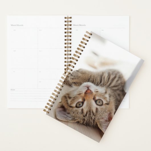 Niedliche Kleintiere | Kurzhaar Tabby Kitten Planer (Anzeige)