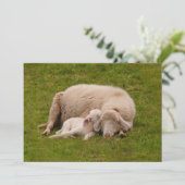 Niedliche Kleintiere | Lächelndes Schlachthaus Dankeskarte (Stehend Vorderseite)