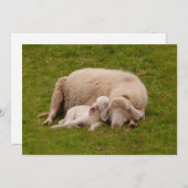 Niedliche Kleintiere | Lächelndes Schlachthaus Dankeskarte (Vorne/Hinten)