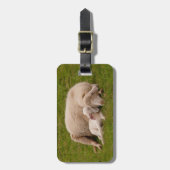 Niedliche Kleintiere | Lächelndes Schlachthaus Gepäckanhänger (Vorderseite vertikal)