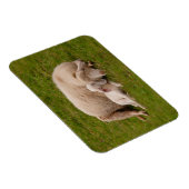 Niedliche Kleintiere | Lächelndes Schlachthaus Magnet (Rechte Seite)