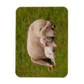 Niedliche Kleintiere | Lächelndes Schlachthaus Magnet (Vertikal)