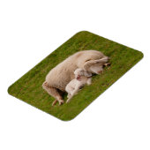 Niedliche Kleintiere | Lächelndes Schlachthaus Magnet (Linke Seite)