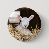 Niedliche Kleintiere | Lamm Button (Vorderseite)