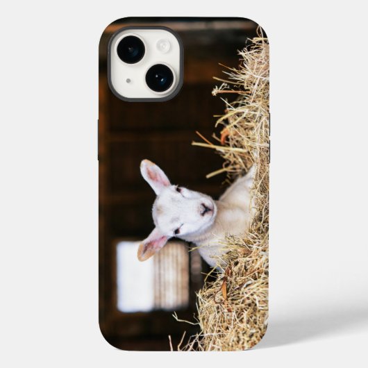 Niedliche Kleintiere | Lamm Case-Mate iPhone Hülle (Rückseite)