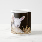 Niedliche Kleintiere | Lamm Jumbo-Tasse (Vorderseite)