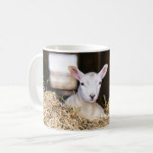 Niedliche Kleintiere | Lamm Kaffeetasse (Vorderseite Links)