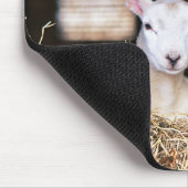 Niedliche Kleintiere | Lamm Mousepad (Ecke)