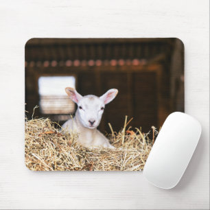 Niedliche Kleintiere   Lamm Mousepad