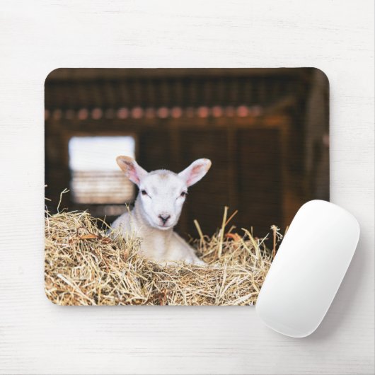 Niedliche Kleintiere | Lamm Mousepad (Mit Mouse)