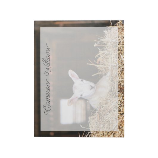 Niedliche Kleintiere | Lamm Notizblock (Rotiert)