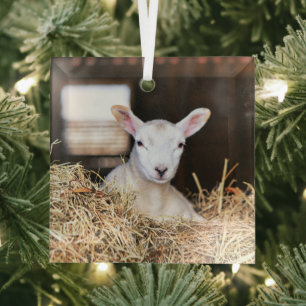 Niedliche Kleintiere   Lamm Ornament Aus Glas