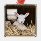 Niedliche Kleintiere | Lamm Ornament Aus Metall (Vorne)