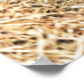 Niedliche Kleintiere | Lamm Poster (Ecke)