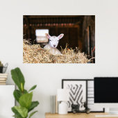 Niedliche Kleintiere | Lamm Poster (Heimbüro)