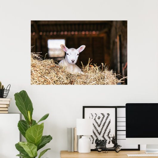 Niedliche Kleintiere | Lamm Poster (Heimbüro)