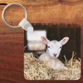 Niedliche Kleintiere | Lamm Schlüsselanhänger (Vorderseite)