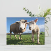 Niedliche Kleintiere | Lamm und Mama Dankeskarte (Stehend Vorderseite)