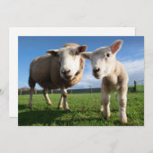 Niedliche Kleintiere | Lamm und Mama Dankeskarte (Vorne/Hinten)