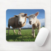 Niedliche Kleintiere | Lamm und Mama Mousepad (Mit Mouse)