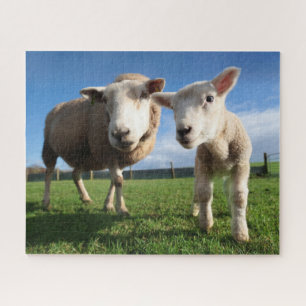 Niedliche Kleintiere   Lamm und Mama Puzzle
