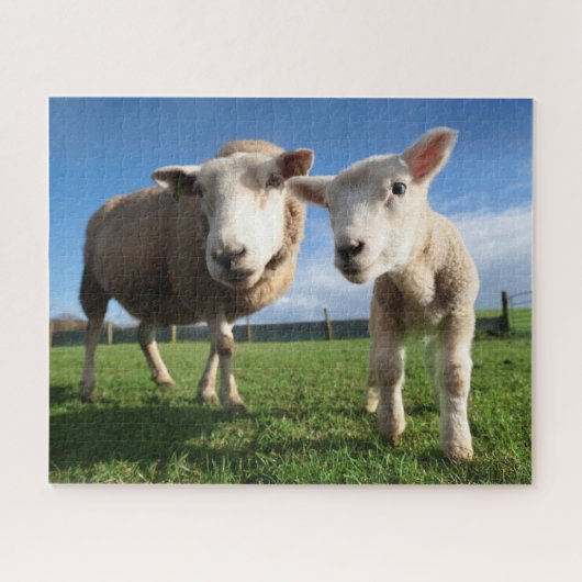 Niedliche Kleintiere | Lamm und Mama Puzzle (Horizontal)