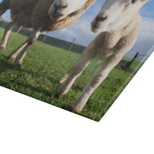 Niedliche Kleintiere | Lamm und Mama Schneidebrett (Ecke)