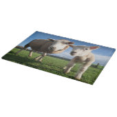 Niedliche Kleintiere | Lamm und Mama Schneidebrett (Ecke)