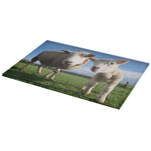 Niedliche Kleintiere | Lamm und Mama Schneidebrett (Ecke)