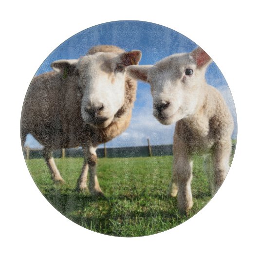 Niedliche Kleintiere | Lamm und Mama Schneidebrett (Vorderseite)