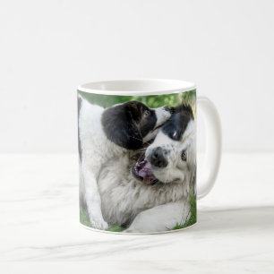 Niedliche Kleintiere Landseer Puppy Kaffeetasse