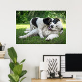 Niedliche Kleintiere | Landseer Puppy Poster (Heimbüro)