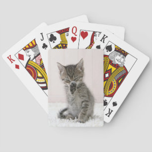 Niedliche Kleintiere   Licking Tabby Kitten Spielkarten