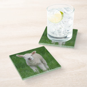 Niedliche Kleintiere Lil Lamb Glasuntersetzer