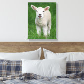 Niedliche Kleintiere | Lil Lamb Leinwanddruck (Insitu (Schlafzimmer))