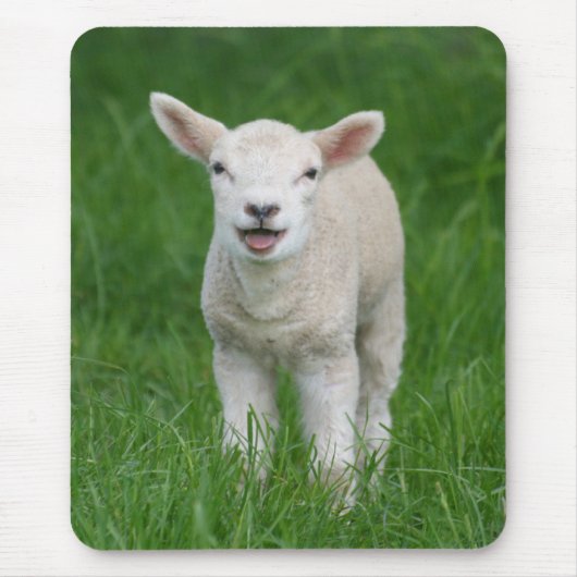 Niedliche Kleintiere | Lil Lamb Mousepad (Vorne)