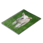 Niedliche Kleintiere | Lil Lamb Notizblock (Linke Seite)