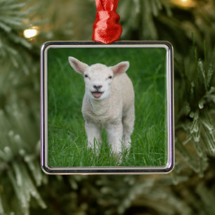 Niedliche Kleintiere Lil Lamb Ornament Aus Metall