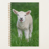 Niedliche Kleintiere | Lil Lamb Planer (Vorderseite)