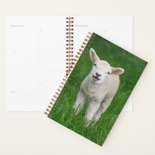 Niedliche Kleintiere | Lil Lamb Planer (Anzeige)