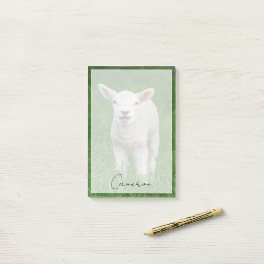Niedliche Kleintiere | Lil Lamb Post-it Klebezettel (Auf Schreibtisch)