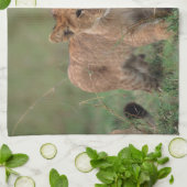 Niedliche Kleintiere | Lion Cub & Mother Geschirrtuch (Gefaltet)